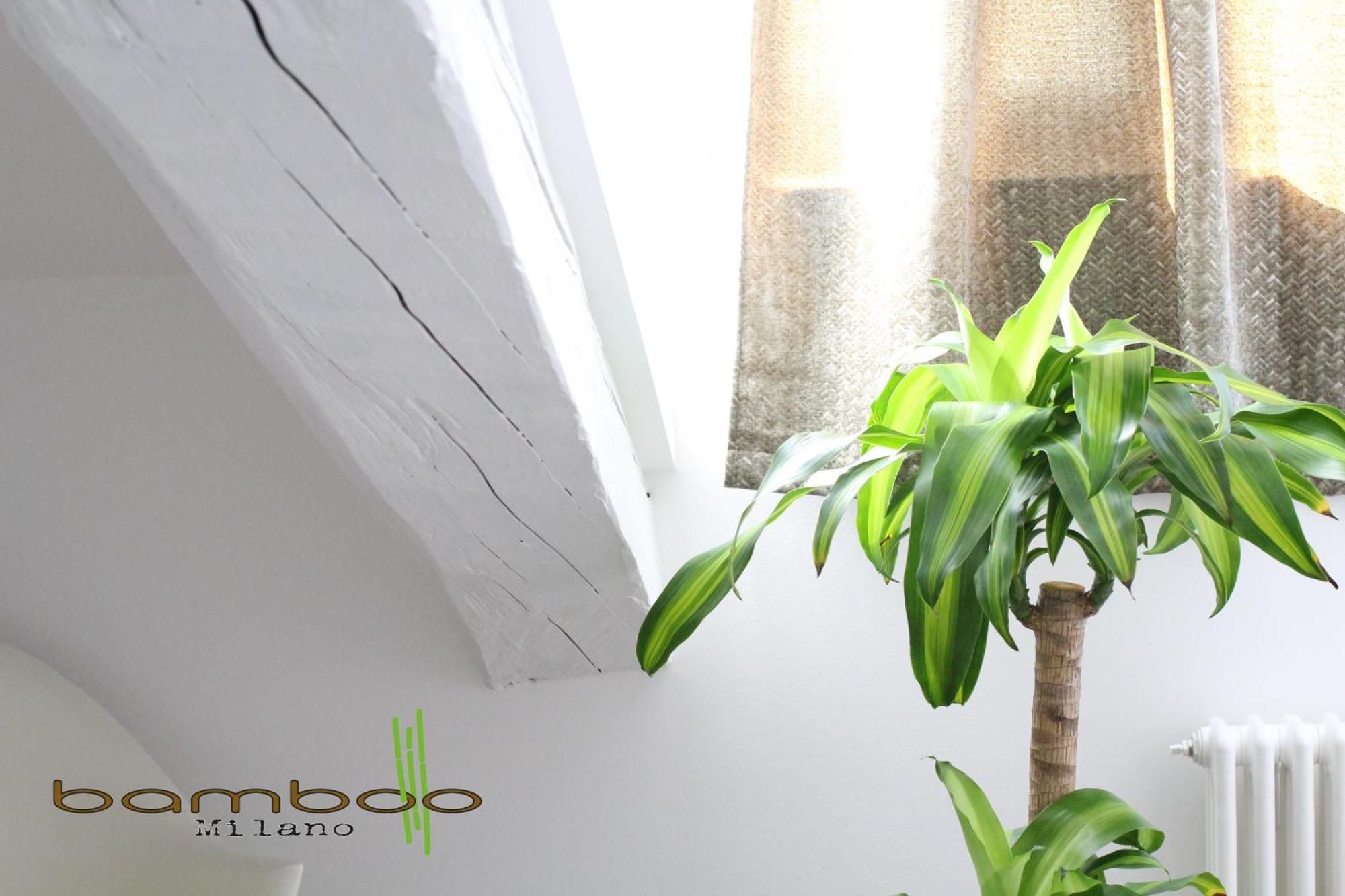 Bamboo Milano Isonzo Apartment Luaran gambar